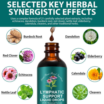 Lymphatic Drainage Drops, Natural Lymph Cleanse & Immune Support Supplement with Echinacea, Dandelion, Elderberry, Cleavers, Astragalus & Burdock, 2 FL OZ (1) - dailyvitalstore