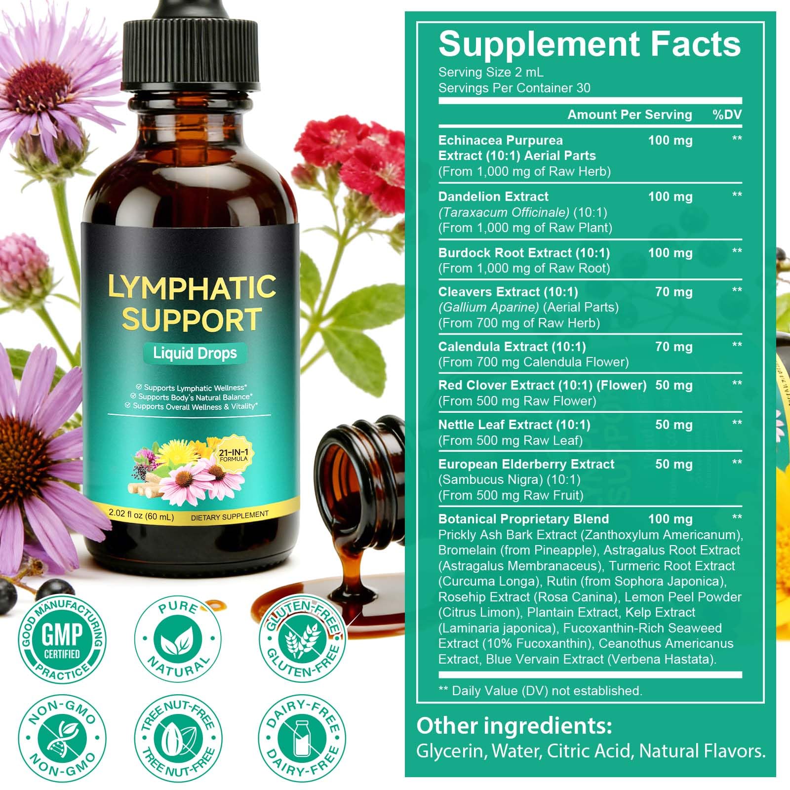 Lymphatic Drainage Drops, Support Supplement with Echinacea, Dandelion, Elderberry, Cleavers, Astragalus, Burdock & More, 2 FL OZ - Natural Lymphatic Cleanse & Immune Support - dailyvitalstore