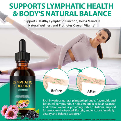 Lymphatic Drainage Drops, Support Supplement with Echinacea, Dandelion, Elderberry, Cleavers, Astragalus, Burdock & More, 2 FL OZ - Natural Lymphatic Cleanse & Immune Support - dailyvitalstore