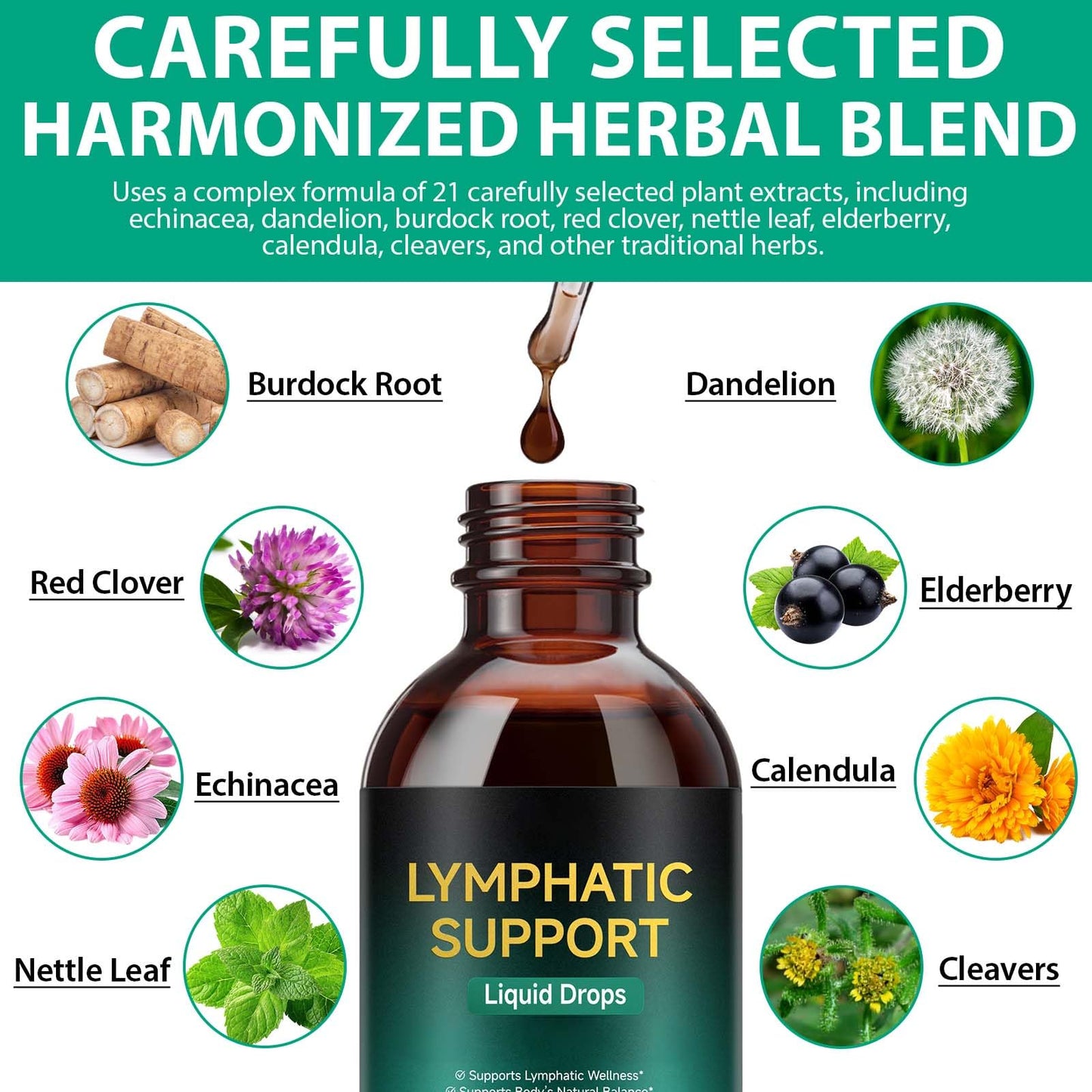 Lymphatic Drainage Drops, Support Supplement with Echinacea, Dandelion, Elderberry, Cleavers, Astragalus, Burdock & More, 2 FL OZ - Natural Lymphatic Cleanse & Immune Support - dailyvitalstore