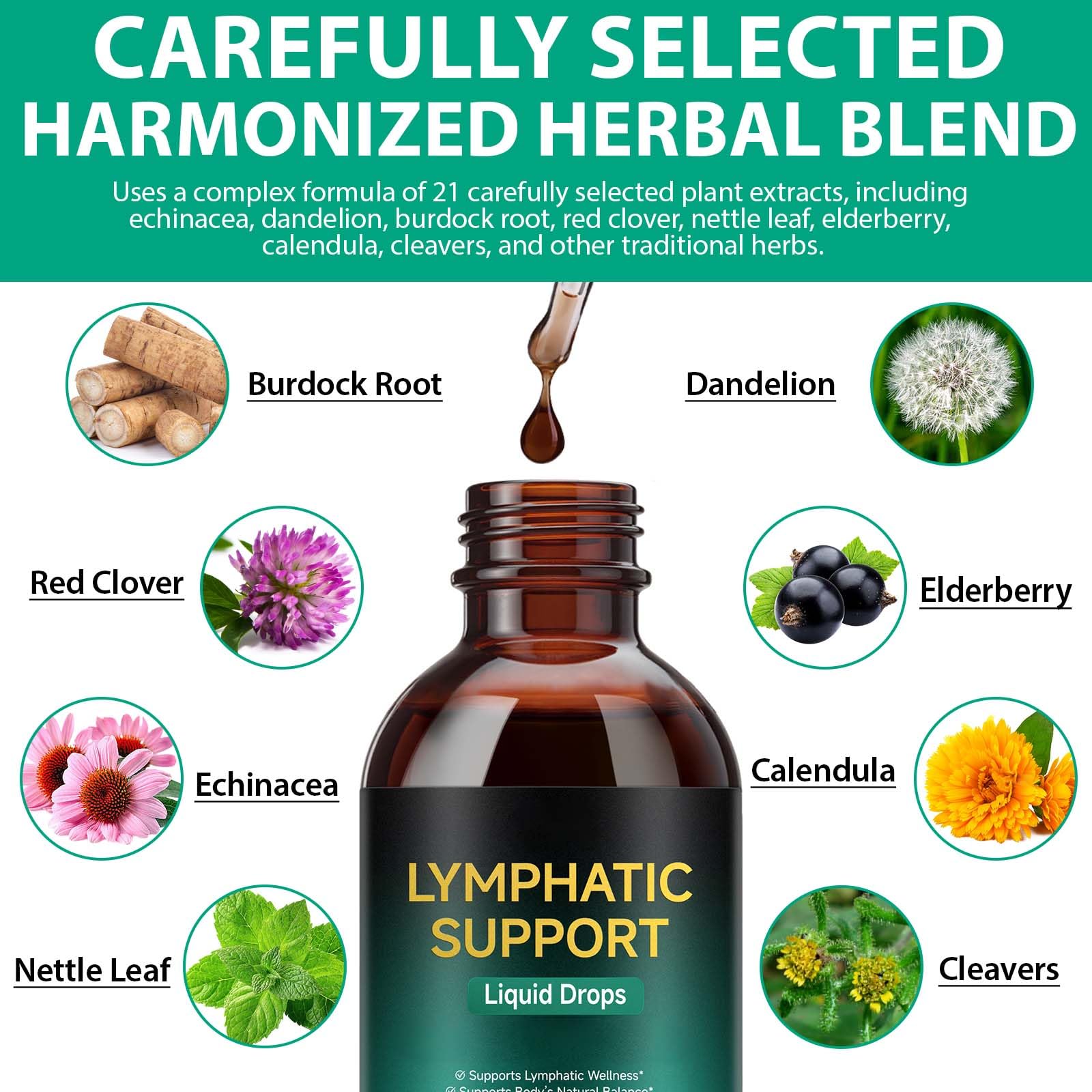 Lymphatic Drainage Drops, Support Supplement with Echinacea, Dandelion, Elderberry, Cleavers, Astragalus, Burdock & More, 2 FL OZ - Natural Lymphatic Cleanse & Immune Support - dailyvitalstore