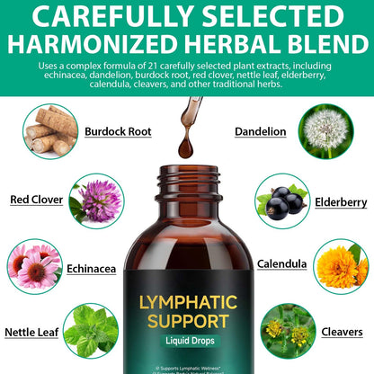 Lymphatic Drainage Drops, Support Supplement with Echinacea, Dandelion, Elderberry, Cleavers, Astragalus, Burdock & More, 2 FL OZ - Natural Lymphatic Cleanse & Immune Support - dailyvitalstore
