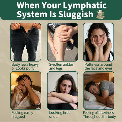 Lymphatic Drainage Supplement – Natural Herbal Formula with Dandelion, Burdock & Echinacea, Supports Fluid Balance, Immune Health & Cellulite Reduction – 60 Capsules - dailyvitalstore