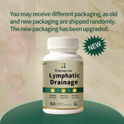Lymphatic Drainage Supplement – Natural Herbal Formula with Dandelion, Burdock & Echinacea, Supports Fluid Balance, Immune Health & Cellulite Reduction – 60 Capsules - dailyvitalstore