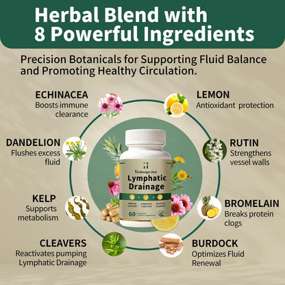 Lymphatic Drainage Supplement – Natural Herbal Formula with Dandelion, Burdock & Echinacea, Supports Fluid Balance, Immune Health & Cellulite Reduction – 60 Capsules - dailyvitalstore