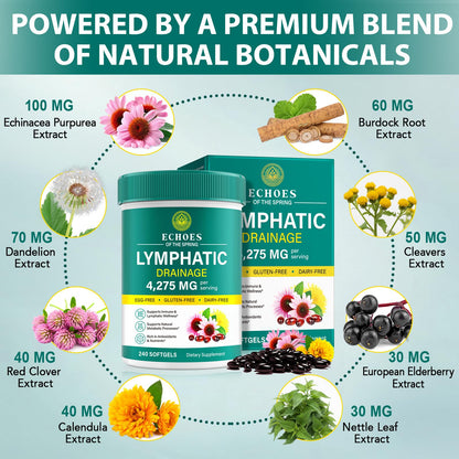 Lymphatic Drainage Supplements, 4275mg Lymph System Support Supplement for Women & Men, Daily Wellness Support, 21-in-1 Herbal Blend with Echinacea, Dandelion, Burdock, Turmeric & More, 240 Softgels - dailyvitalstore