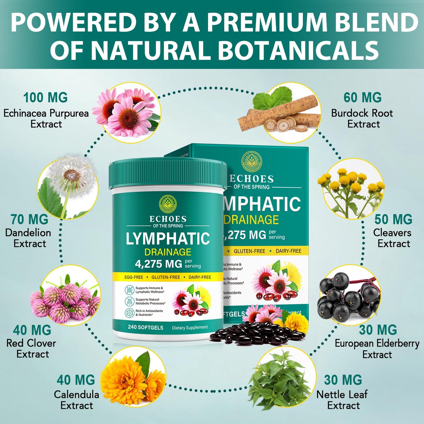 Lymphatic Drainage Supplements, 4275mg Lymph System Support Supplement for Women & Men, Daily Wellness Support, 21-in-1 Herbal Blend with Echinacea, Dandelion, Burdock, Turmeric & More, 240 Softgels - dailyvitalstore