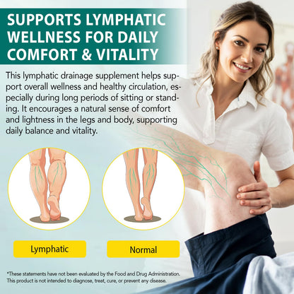 Lymphatic Drainage Supplements, 4275mg Lymph System Support Supplement for Women & Men, Daily Wellness Support, 21-in-1 Herbal Blend with Echinacea, Dandelion, Burdock, Turmeric & More, 240 Softgels - dailyvitalstore