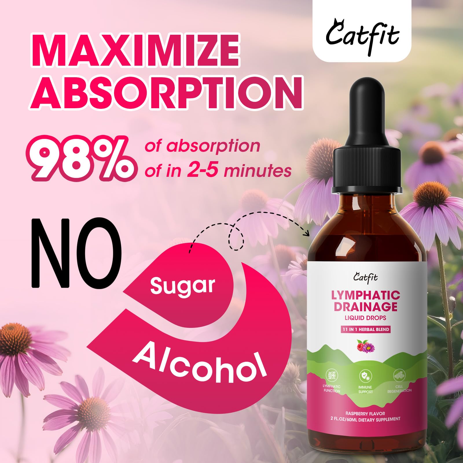 Lymphatic Drainage Supplements Drops for Immune, Lymph System Support, Cleanse & Detox, Liver Health with Echinacea,Elderberry,Cleavers Herb,Burdock, Calendula, Non-GMO, Raspberry Flavor, 2 Fl Oz - dailyvitalstore