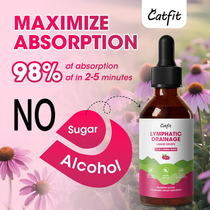 Lymphatic Drainage Supplements Drops for Immune, Lymph System Support, Cleanse & Detox, Liver Health with Echinacea,Elderberry,Cleavers Herb,Burdock, Calendula, Non-GMO, Raspberry Flavor, 2 Fl Oz - dailyvitalstore
