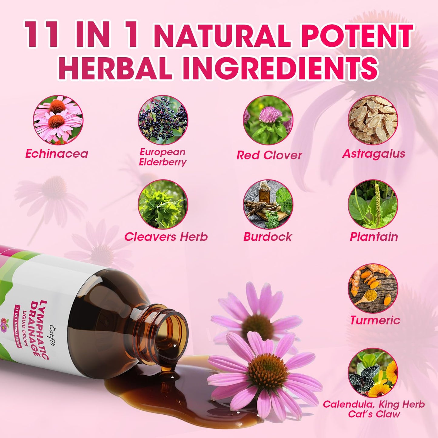 Lymphatic Drainage Supplements Drops for Immune, Lymph System Support, Cleanse & Detox, Liver Health with Echinacea,Elderberry,Cleavers Herb,Burdock, Calendula, Non-GMO, Raspberry Flavor, 2 Fl Oz - dailyvitalstore