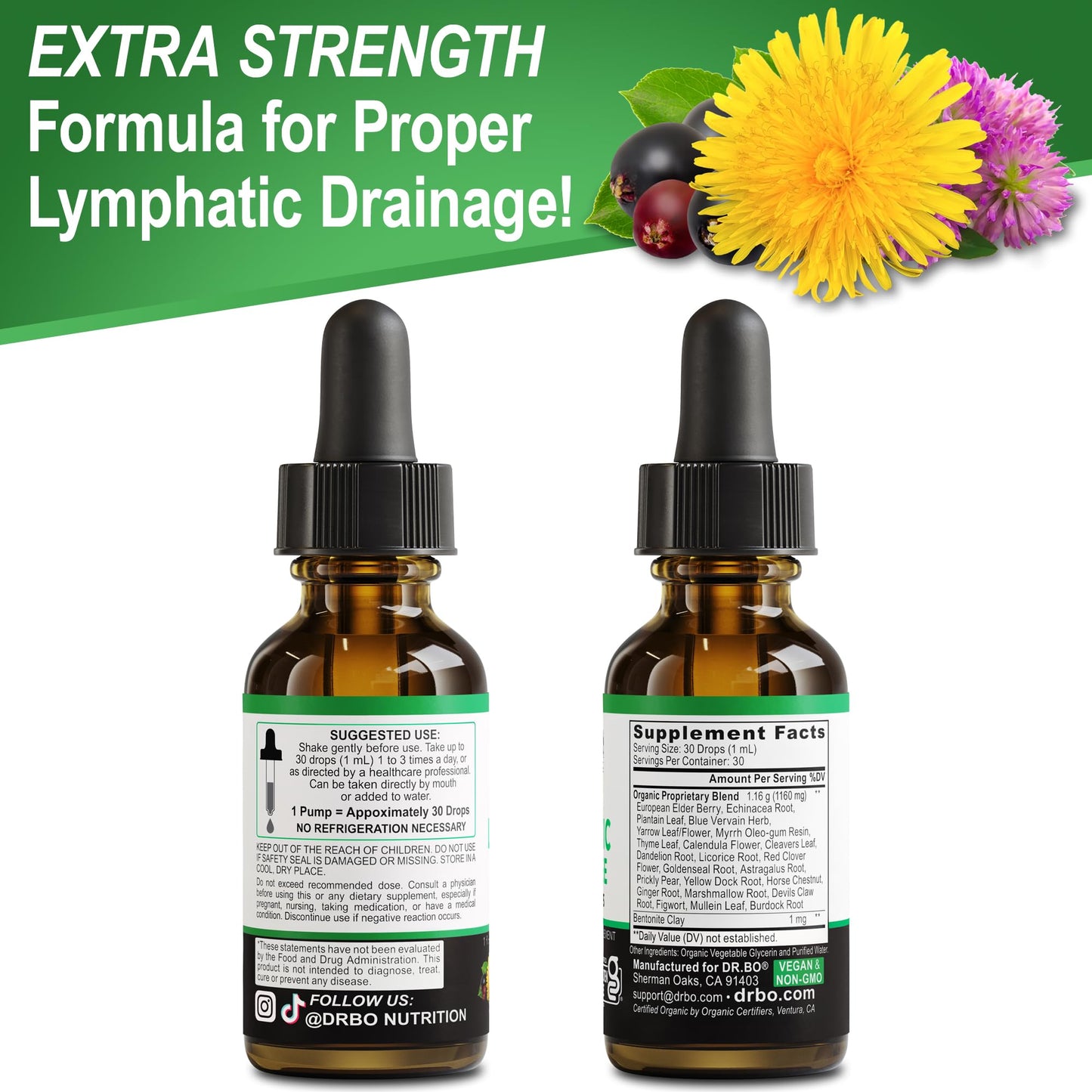 Lymphatic Drainage Supplements Drops - Organic Lymphatic Support Liquid Drops Cleanse with Echinacea, Lymph System Support Supplement, Lymph Node Detox Cleanse System Drainage - 1oz Non-GMO Organics - dailyvitalstore
