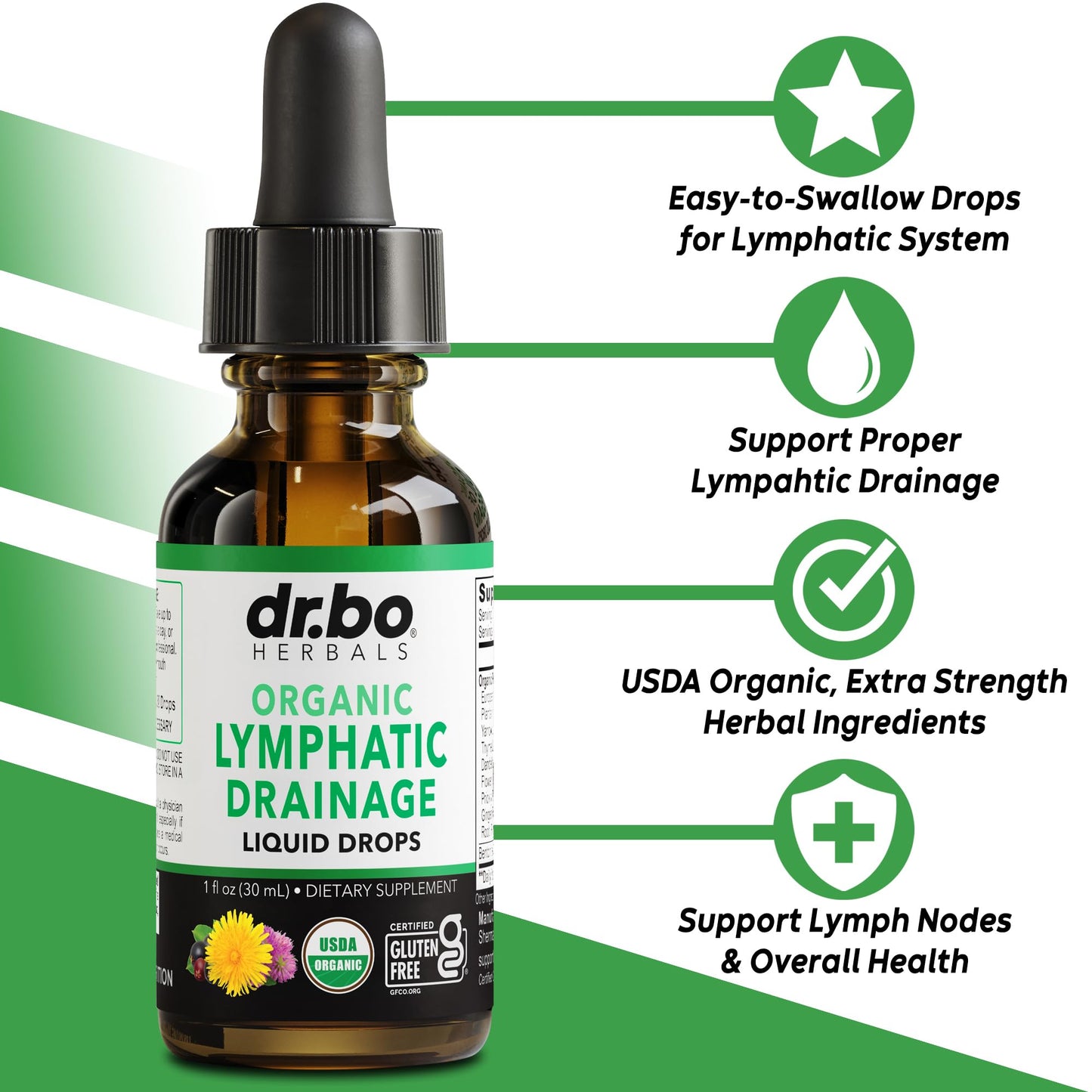 Lymphatic Drainage Supplements Drops - Organic Lymphatic Support Liquid Drops Cleanse with Echinacea, Lymph System Support Supplement, Lymph Node Detox Cleanse System Drainage - 1oz Non-GMO Organics - dailyvitalstore