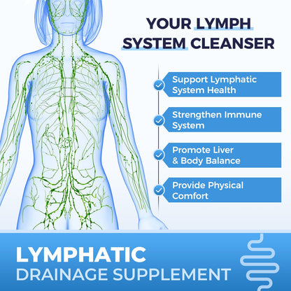 Lymphatic Drainage Supplements for Lymph System Cleanse & Immune Support, Lymphatic Support Supplement, Detox & Liver Health, Natural Herbal Blends with Echinacea, Dandelion, Burdock, 60 Capsules - dailyvitalstore