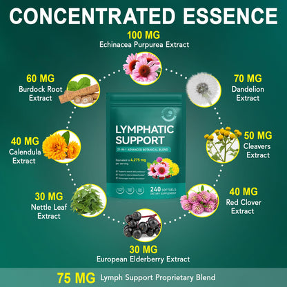 Lymphatic Drainage Supplements, Lymph System Support Supplement for Women & Men, Natural Herbal Blends with Echinacea, Dandelion, Burdock Root for Lymph System - 240 Softgels - dailyvitalstore