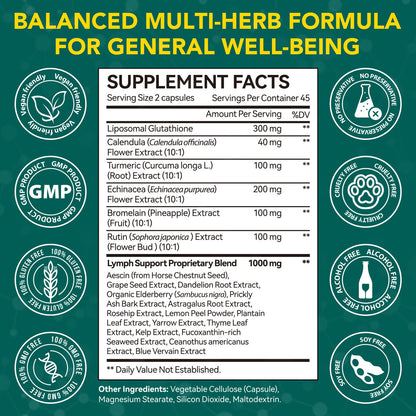 Lymphatic Drainage Supplements, Lymphatic Drainage Capsules - Wellness Complex 21 in 1 Aescia, Turmeric, Bromelain, Echinacea & More - Lymph System Support Capsules - dailyvitalstore