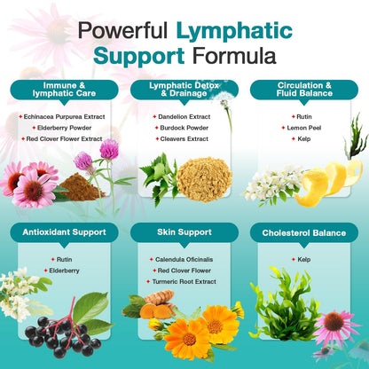 Lymphatic Drainage Supplements - Lymphatic System Support, Fluid Balance, Immune Support - Natural Lymphatic Cleanse & Detox Capsules with Dandelion, Echinacea, Burdock & More, 90 Capsules - dailyvitalstore