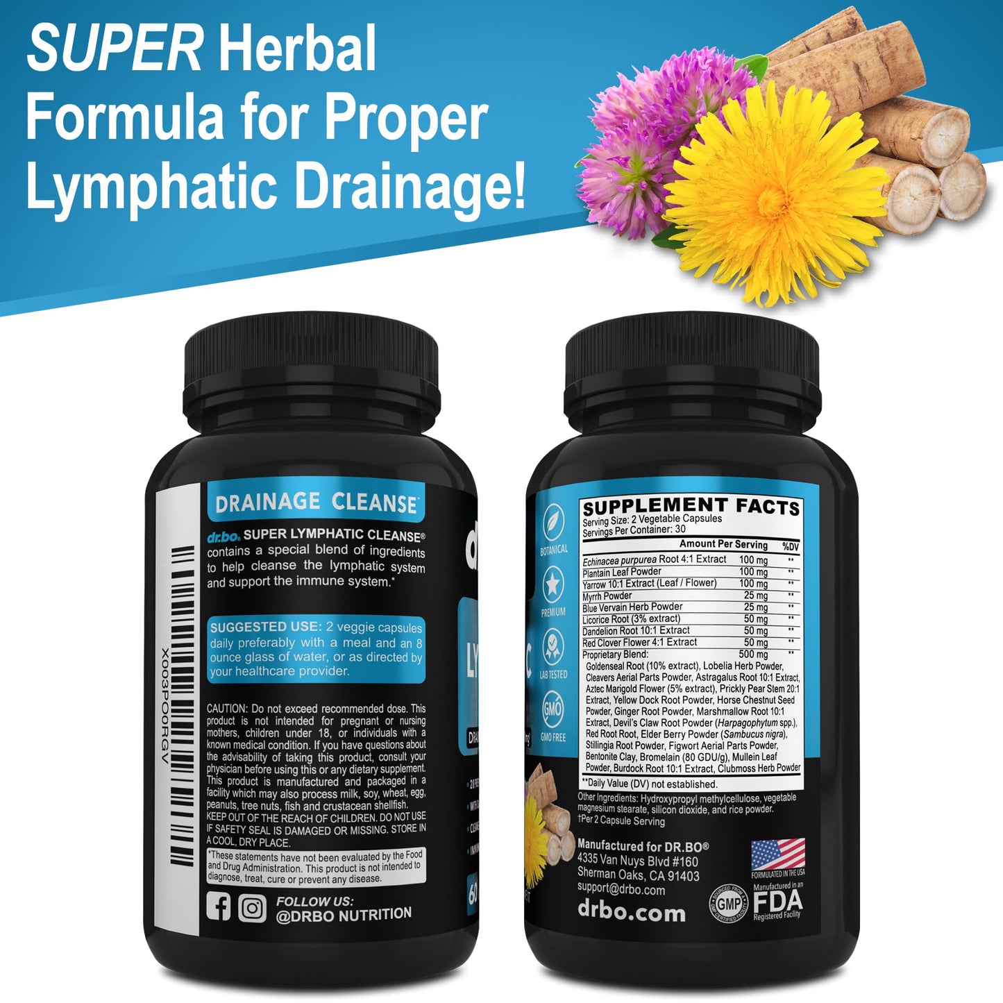 Lymphatic Drainage Supplements Pills - Lymphatic Support Total Herbal Cleanse Products Echinacea, Ginger, Dandelion, Red Root & Red Clover Supplement - dailyvitalstore