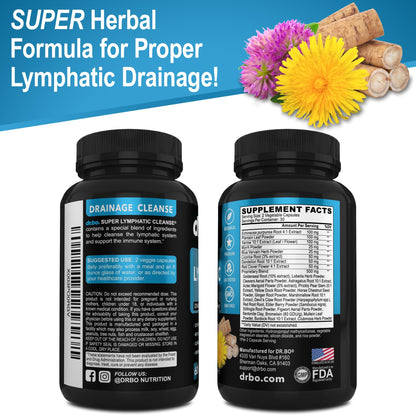 Lymphatic Drainage Supplements Pills - Lymphatic Support Total Herbal Cleanse Products Echinacea, Ginger, Dandelion, Red Root & Red Clover Supplement - dailyvitalstore