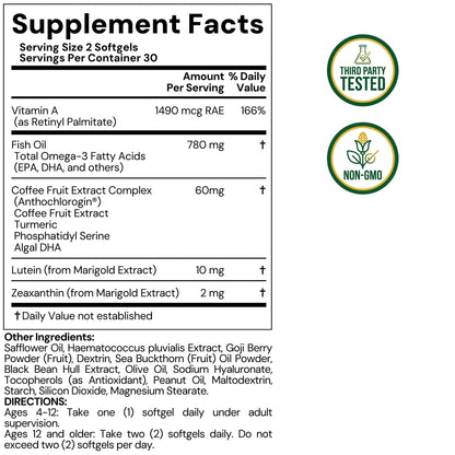 LYTTON EyeQ Duo Digital Eye & Focus Support – Patented Anthochlorogin for Brain-Eye Connection, Promotes Ocular Vitality – Rapid Visual Comfort & Natural Formula for Screen Users, 60 Softgels - dailyvitalstore