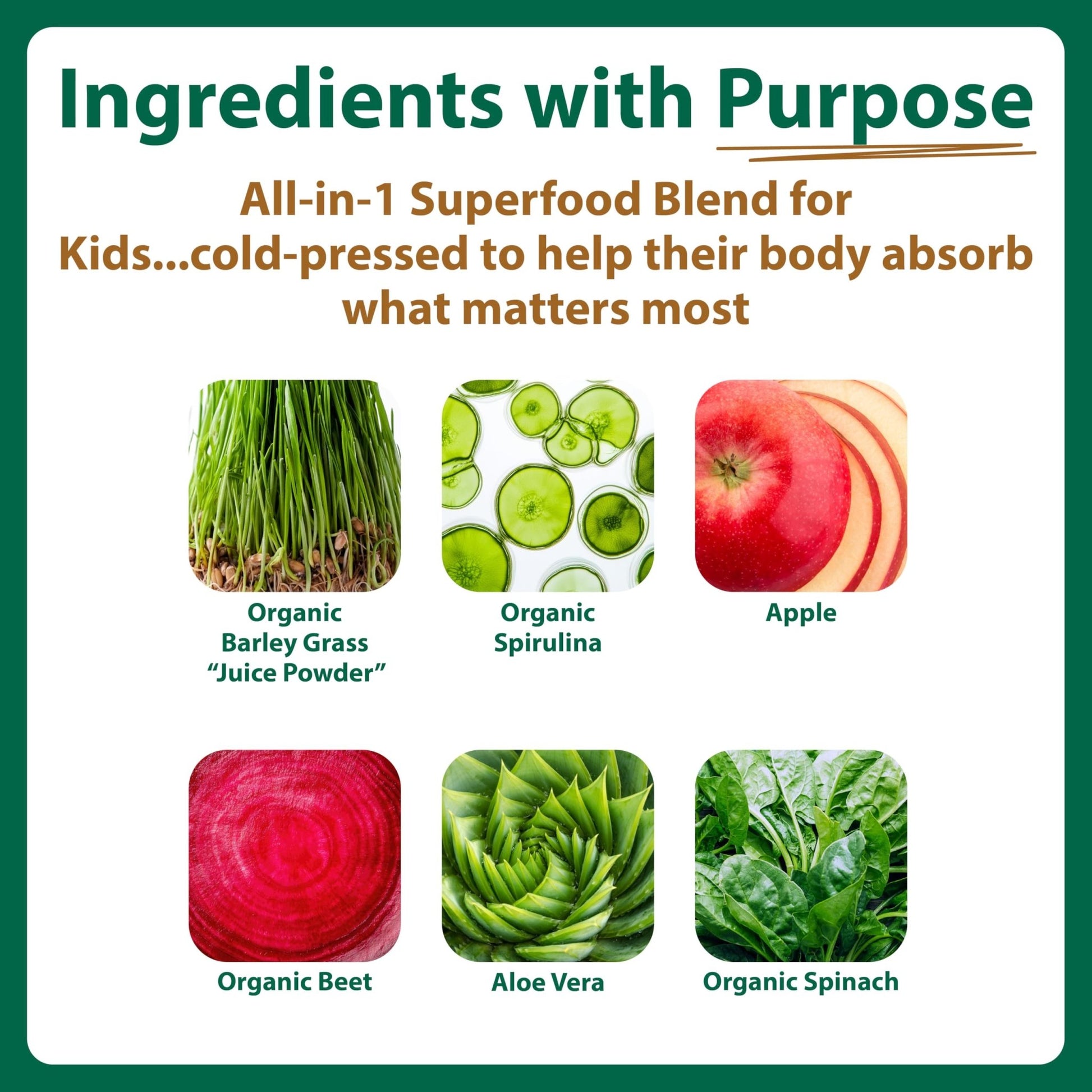 MacroLife Naturals MacroCoco Super Greens Drink, Chocolate Powder Superfood for Kids & Teens - Whole Food Fruit & Vegetable Multi-Vitamins Probiotics Digestive Enzymes & Fiber Supplement - 32 Servings - dailyvitalstore