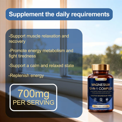 Magnesium 12-in-1 Complex 700mg, with Glycinate & Citrate, Vegan Supplement for Daily Wellness, 120 Capsules (1) - dailyvitalstore