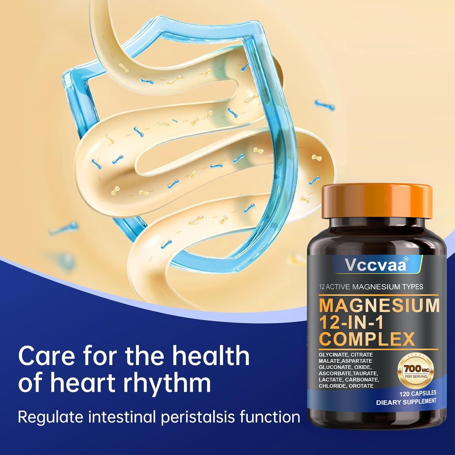 Magnesium Complex 700mg – 12-in-1 Magnesium Supplement with Glycinate, Citrate, Malate, Oxide, Taurate & More – High Absorption for Muscle, Heart, Sleep, Bone, Nerve Support –120 Capsules - dailyvitalstore