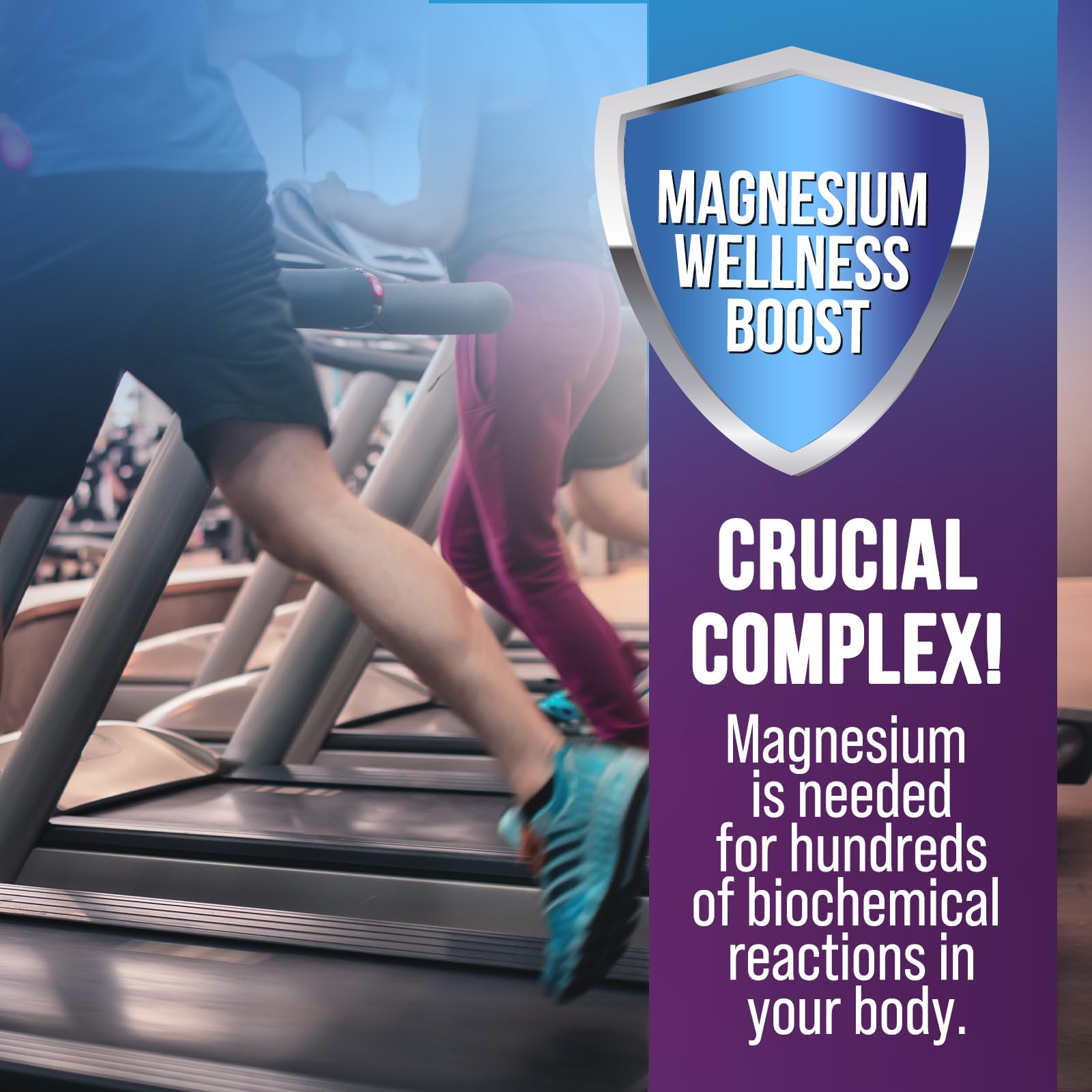 Magnesium Complex Capsules - 500mg per Serving Magnesium - High Absorption Chelated Mineral Supplement - with Oxide, Glycinate, Malate, Citrate for Muscle Bone and Heart Health Support - 120 Capsules - dailyvitalstore