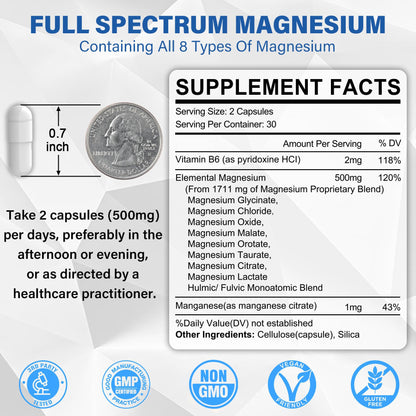 Magnesium Complex Supplement 8 Forms, 500mg Magnesium Glycinate, Malate, Citrate, High Absorption Mg for Calm, Sleep, Mood & Healthy Muscle, Pack of 2, Total 120 Vegan Capsules - dailyvitalstore