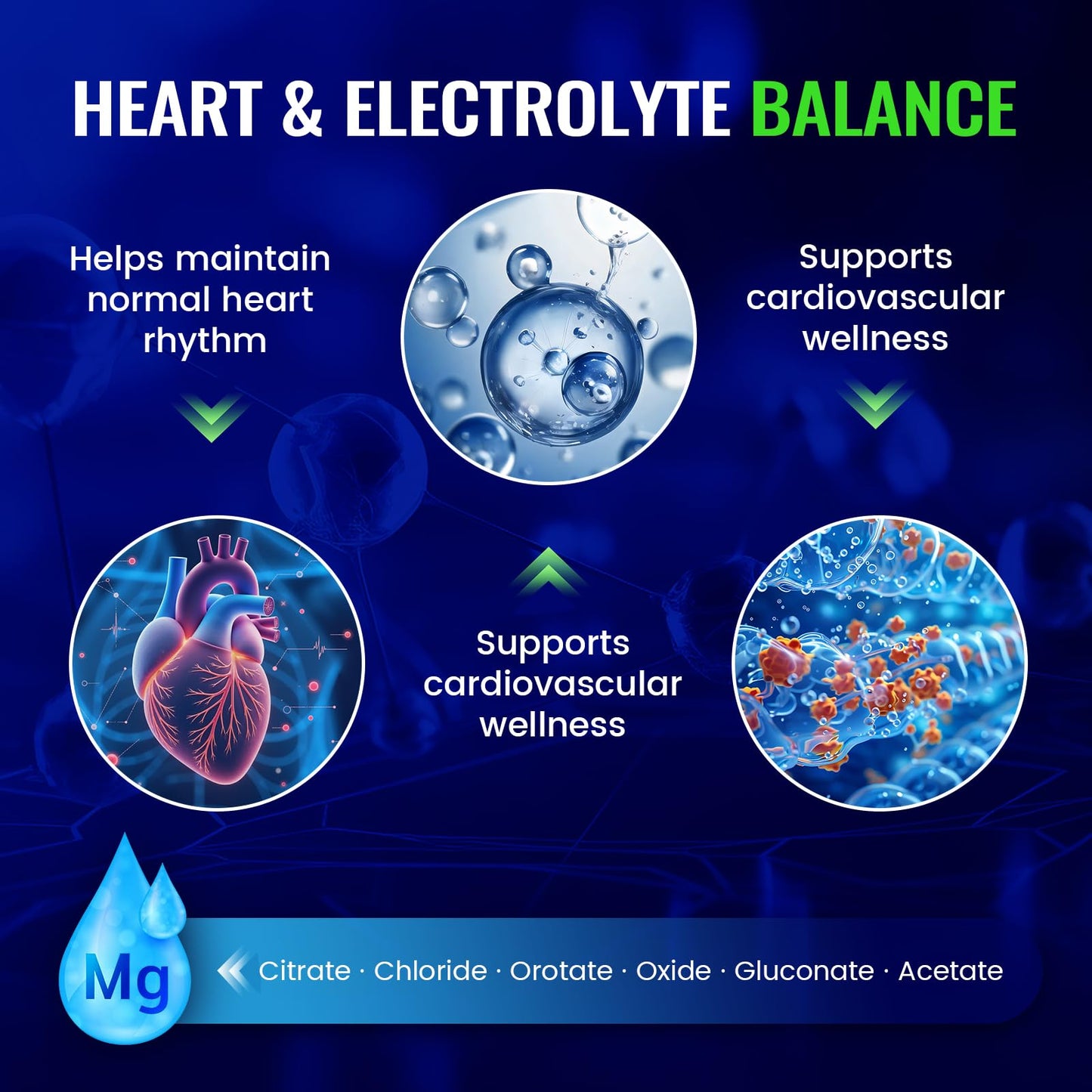 Magnesium Complex with 15 Types Magnesium Glycinate Citrate Malate Taurate Oxide Carbonate Chloride Orotate Magnesio Muscle, Heart, Relaxation & Nerves 120 Vegan Capsules, 60-Day Supply - dailyvitalstore