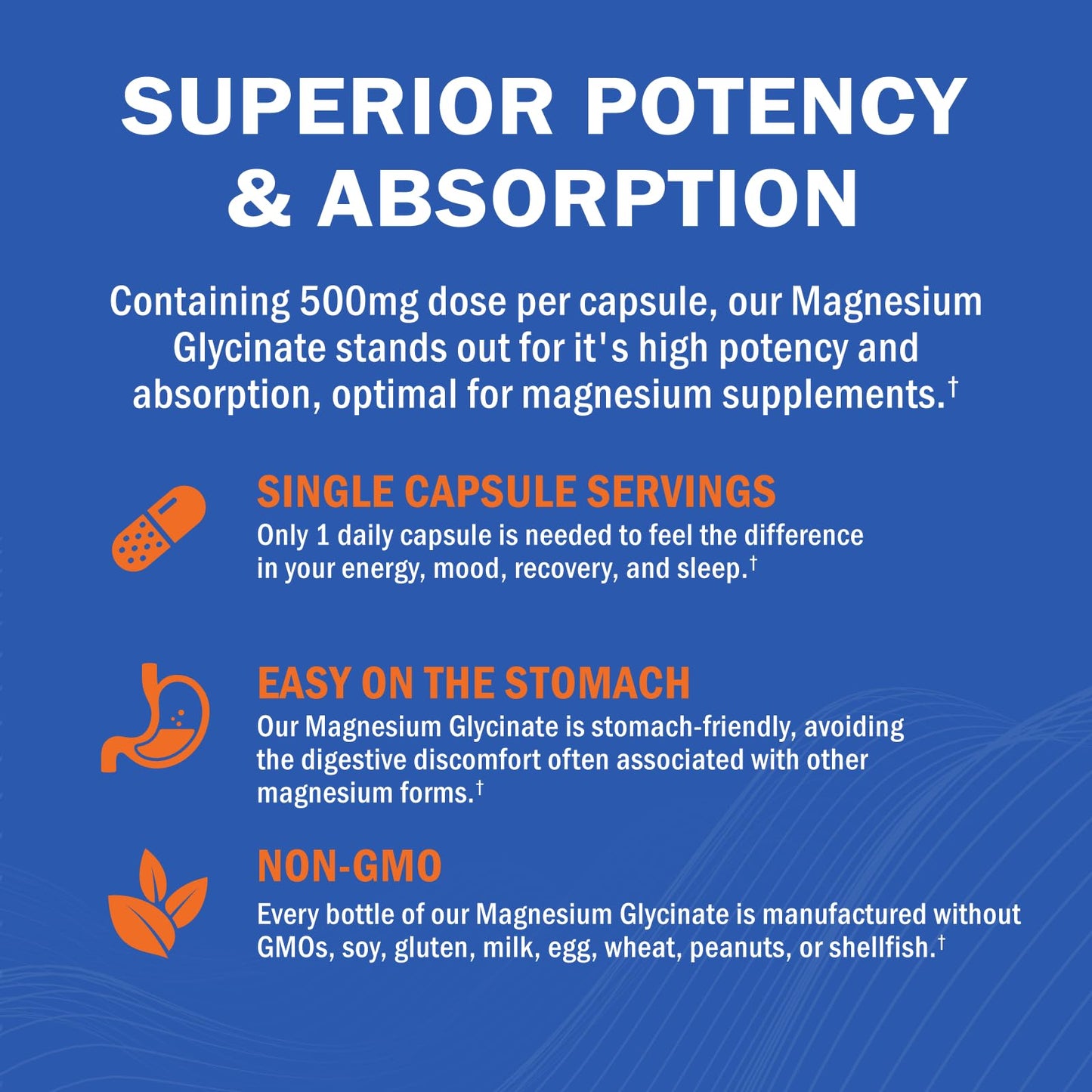 Magnesium Glycinate - High Absorption Magnesium Supplement 500mg Per Serving for Stress Relief, Sleep, Heart and Bone Health, Nerve Support - Non-GMO, Gluten-Free, Gentle on Stomach, 240 Capsules - dailyvitalstore