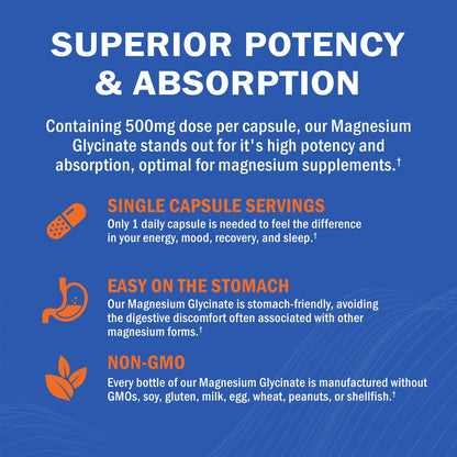 Magnesium Glycinate - High Absorption Magnesium Supplement 500mg Per Serving for Stress Relief, Sleep, Heart and Bone Health, Nerve Support - Non-GMO, Gluten-Free, Gentle on Stomach, 240 Capsules - dailyvitalstore