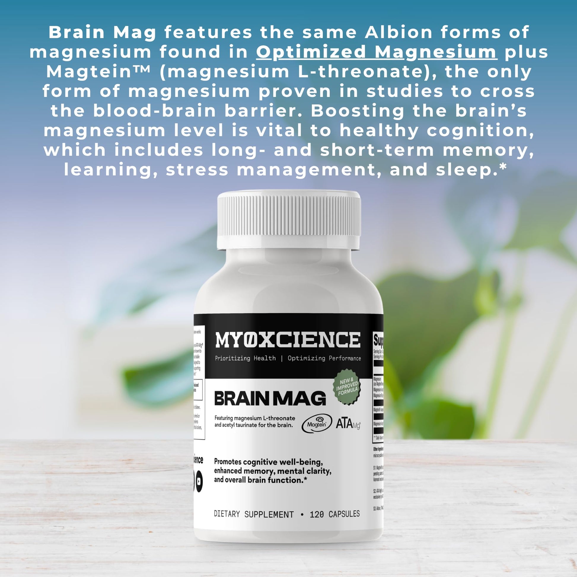 Magnesium L-Threonate + Mag Acetyl-Taurate (ATA Mag) + Mag Glycinate | Promotes Cognitive Well-Being, Enhanced Memory, Mental Clarity and Overall Brain Function | 120 Capsules - dailyvitalstore