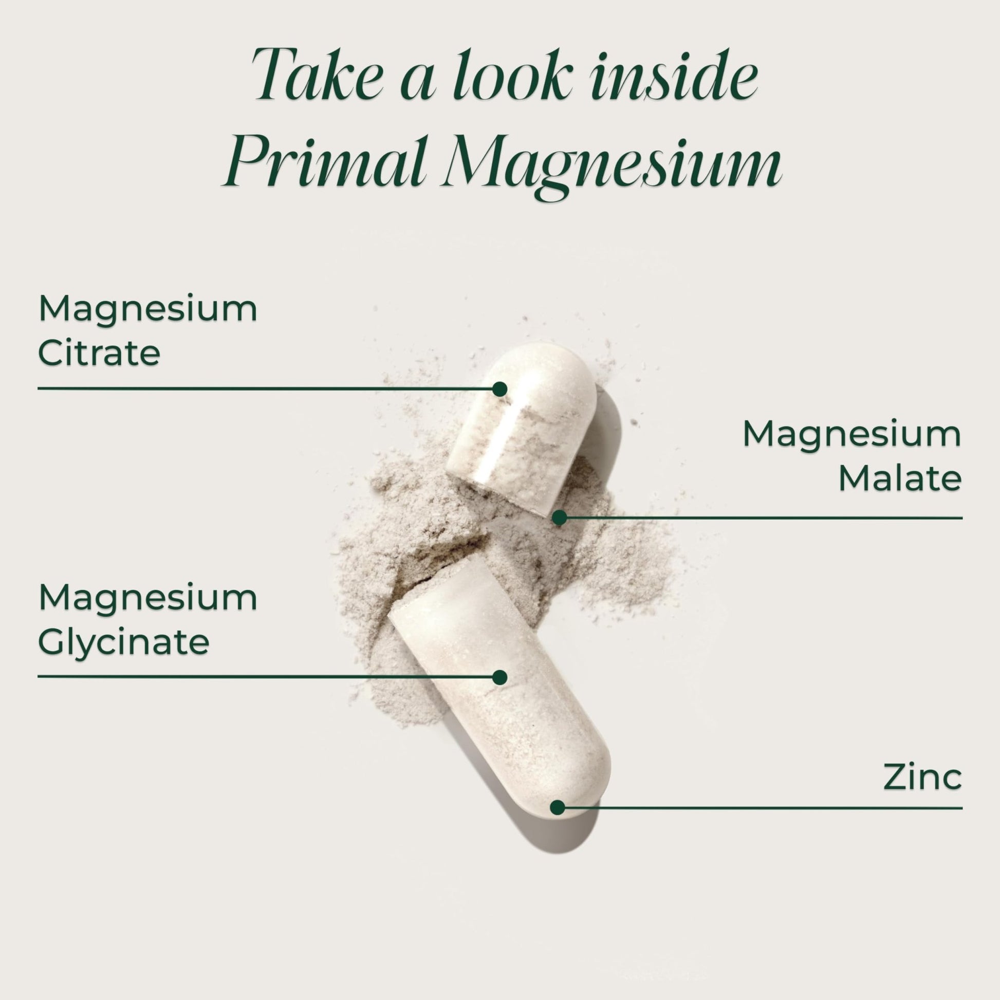 Magnesium Supplement Complex 310mg by Primal Harvest with Magnesium Glycinate, Citrate, Malate, and Zinc 120 Capsules - dailyvitalstore