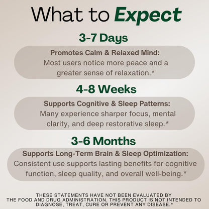 MAGPLUS+ Magnesium L-Threonate w Apigenin & L Theanine | 7-Ingredient Sleep Blend | Brain, Memory, & Sleep Support | Liposomal Magnesium Threonate Supplement (60 Capsules) - dailyvitalstore