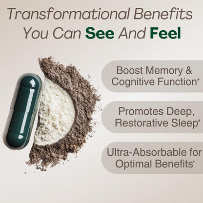 MAGPLUS+ Magnesium L-Threonate w Apigenin & L Theanine | 7-Ingredient Sleep Blend | Brain, Memory, & Sleep Support | Liposomal Magnesium Threonate Supplement (60 Capsules) - dailyvitalstore
