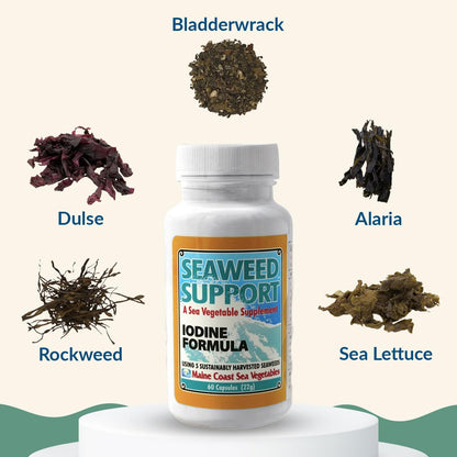 Maine Coast Sea Vegetables Seaweed Support Iodine Formula | Source of Iodine from Seaweed | Daily Use Iodine Supplement | Organic Alaria, Rockweed, Sea Lettuce, Dulse & Bladderwrack blend | 60 Capsule - dailyvitalstore