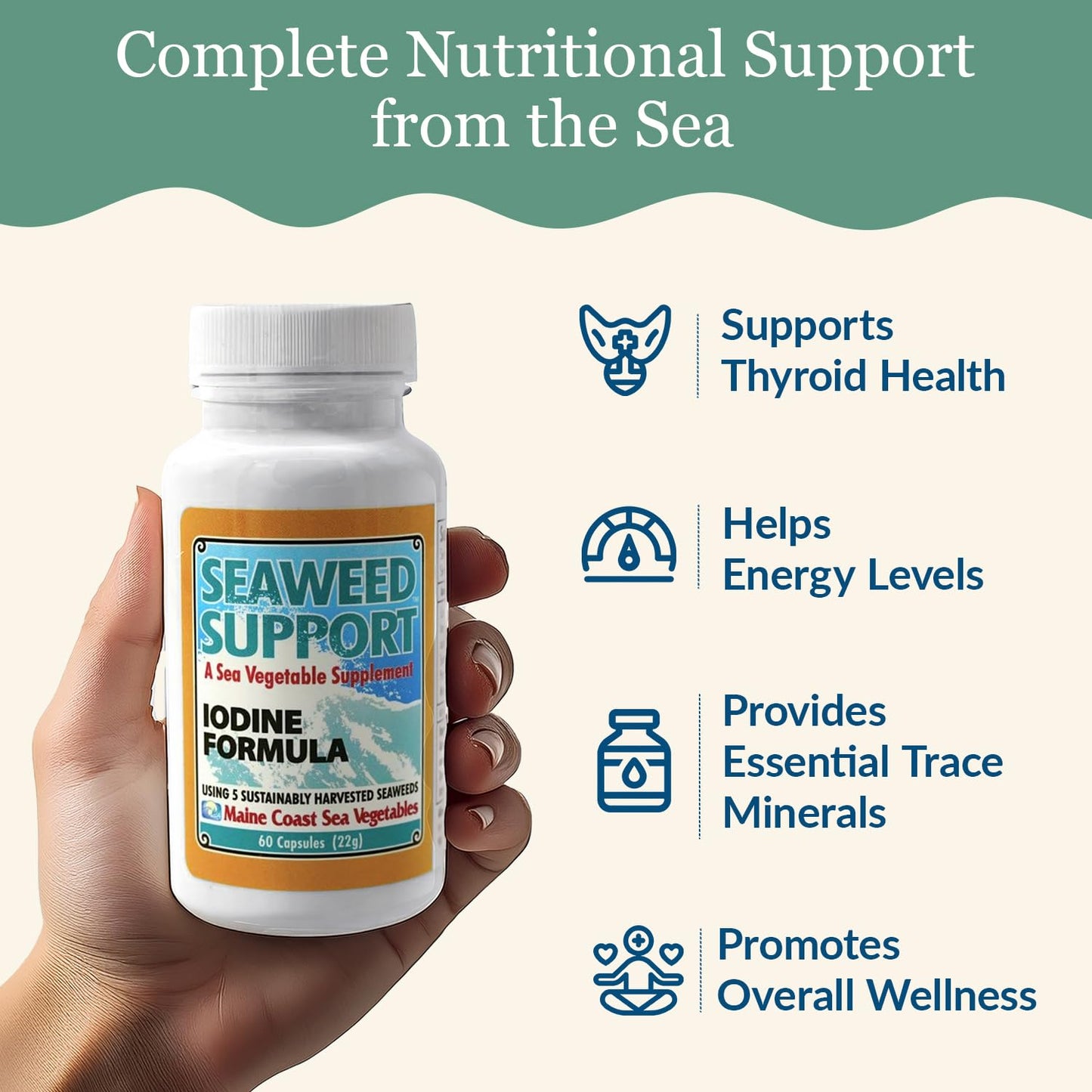 Maine Coast Sea Vegetables Seaweed Support Iodine Formula | Source of Iodine from Seaweed | Daily Use Iodine Supplement | Organic Alaria, Rockweed, Sea Lettuce, Dulse & Bladderwrack blend | 60 Capsule - dailyvitalstore