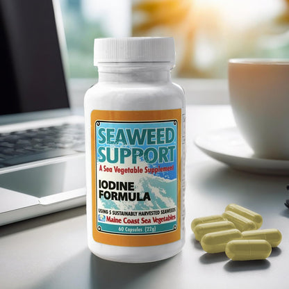 Maine Coast Sea Vegetables Seaweed Support Iodine Formula | Source of Iodine from Seaweed | Daily Use Iodine Supplement | Organic Alaria, Rockweed, Sea Lettuce, Dulse & Bladderwrack blend | 60 Capsule - dailyvitalstore