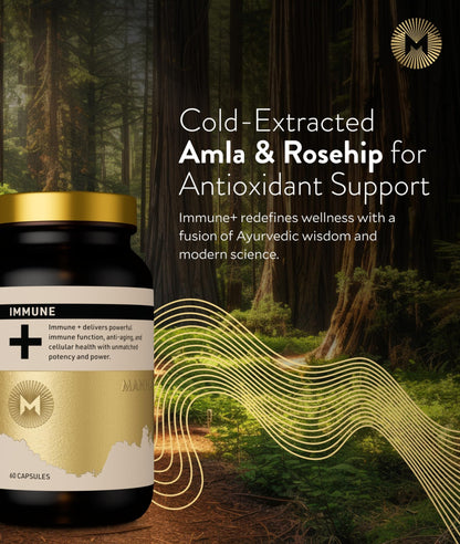 Manna Immune+ Capsules | 500mg Amla Extract & 500mg Rosehip Extract | Vitamin C Supplement for Immune Boost, Antioxidants, Heart Health, Digestion & Immune System Support | For Daily Use | 60 Count - dailyvitalstore