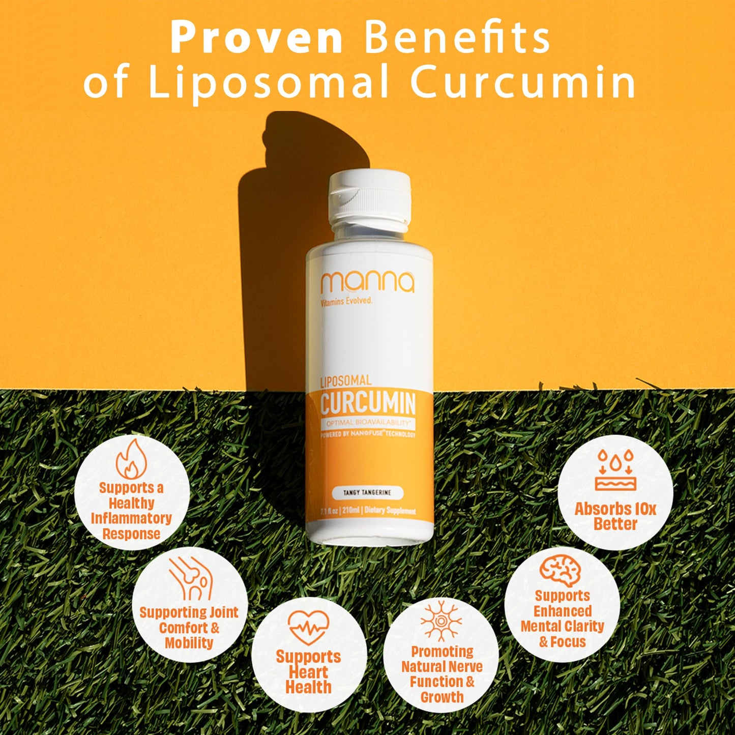 Manna Vitamins Evolved Liposomal Liquid Curcumin for Advanced Absorption Best Turmeric Supplement for Daily Joint & Immune Health Support - Vegan, Non-GMO, 95% Curcuminoids (1 Pack) - dailyvitalstore