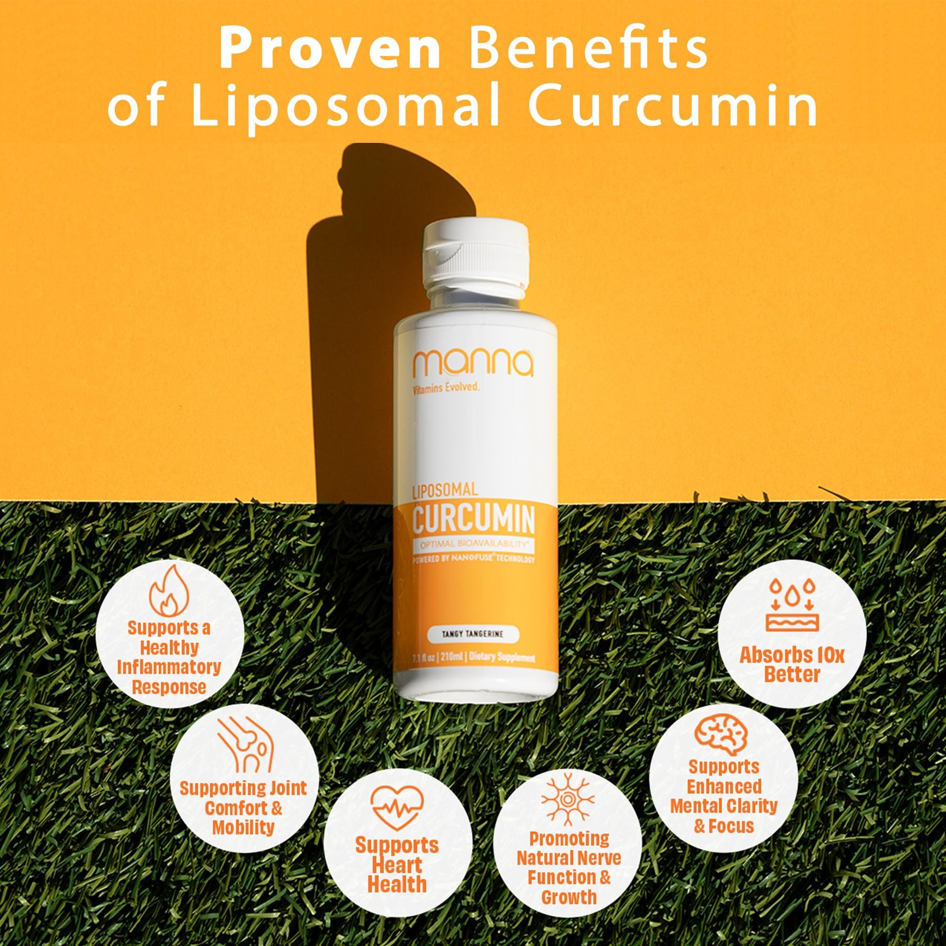 Manna Vitamins Evolved Liposomal Liquid Curcumin for Advanced Absorption Best Turmeric Supplement for Daily Joint & Immune Health Support - Vegan, Non-GMO, 95% Curcuminoids (1 Pack) - dailyvitalstore