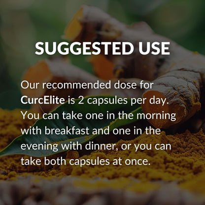 Mara Labs CurcElite Curcumin | Turmeric Extract 95% Curcuminoids | Vegan, No Fillers, and Non-GMO | 60 Vegan Capsules - dailyvitalstore