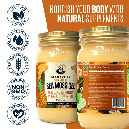Maravida Wellness Sea Moss Gel – Pineapple, Lime, Honey, Ginger & Turmeric – 100% Natural Raw Organic Irish Moss – 16oz Jar – Premium Superfood for Everyday Wellness - dailyvitalstore