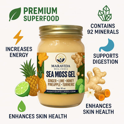 Maravida Wellness Sea Moss Gel – Pineapple, Lime, Honey, Ginger & Turmeric – 100% Natural Raw Organic Irish Moss – 16oz Jar – Premium Superfood for Everyday Wellness - dailyvitalstore