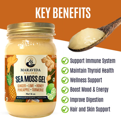 Maravida Wellness Sea Moss Gel – Pineapple, Lime, Honey, Ginger & Turmeric – 100% Natural Raw Organic Irish Moss – 16oz Jar – Premium Superfood for Everyday Wellness - dailyvitalstore