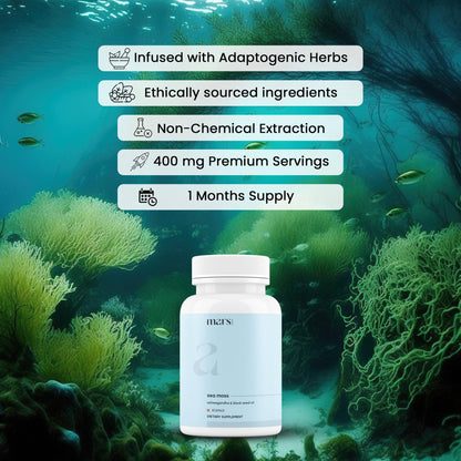mars by GHC Mars Surge Natural Sea Moss Caps (60N) | Packed with 84 Minerals | Powered with Black Seed Oil | | Overall Well Being - Pack of 1 - dailyvitalstore