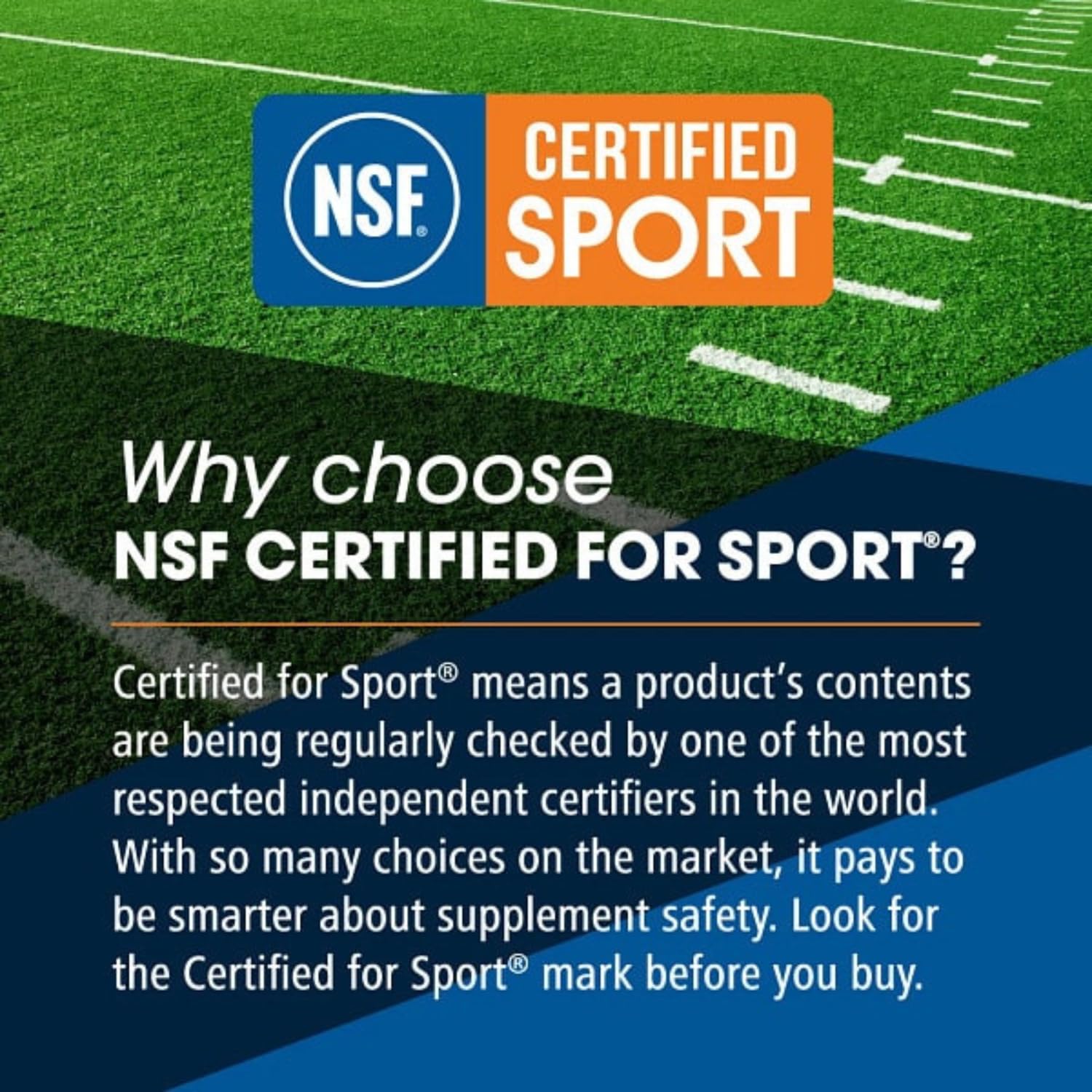 MASF Smashin' Reds Organic Superfood Supplements - 15 Servings - NSF Sport, Super Reds for Digestive Health, Energy, Endurance, Beet Root, Maca, Turmeric, Ginger, Acai, Nitric Oxide Production - dailyvitalstore