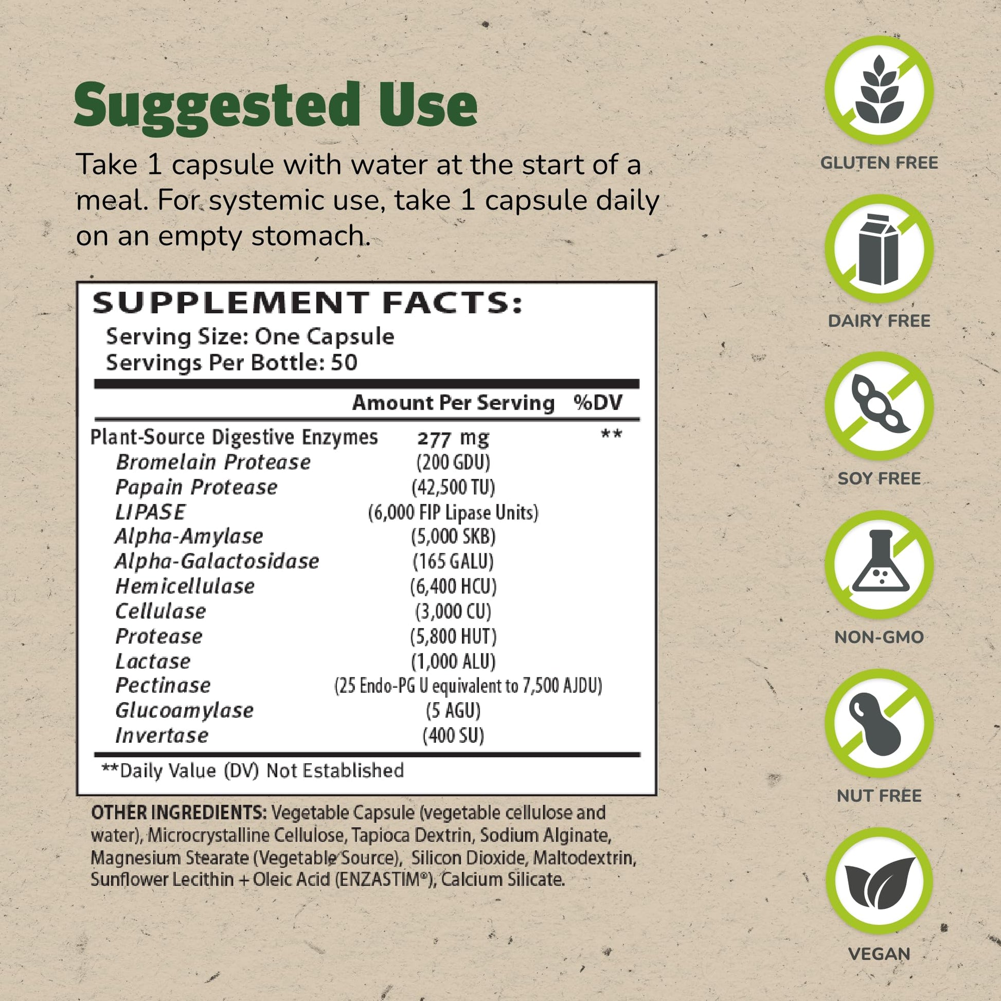 Master Supplements Enzalase - 50 Capsules - Probiotic Compatible Enzymes - Provides Digestive Boost + Gas & Bloating Relief - Gluten Free - 50 Servings - dailyvitalstore