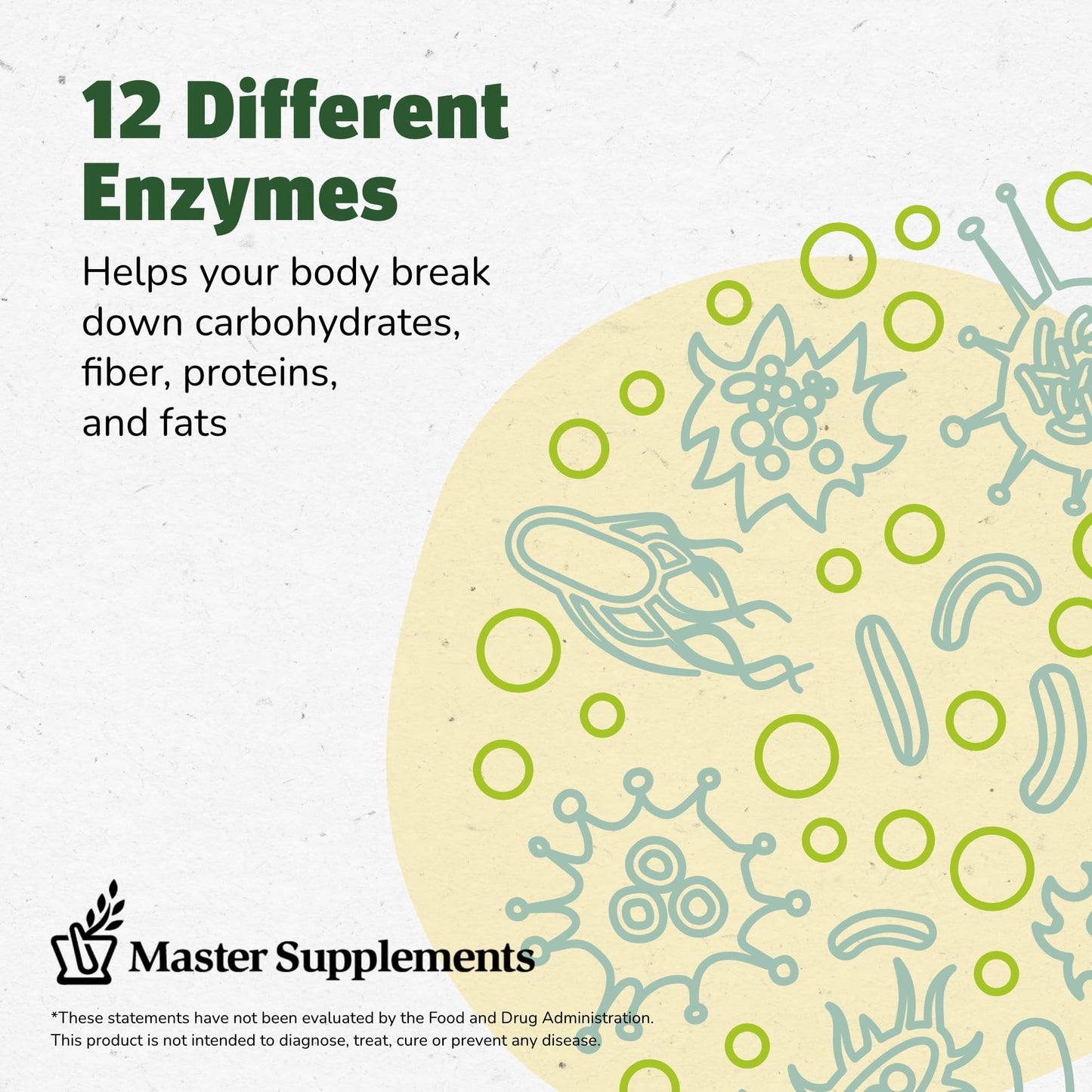 Master Supplements Enzalase - 50 Capsules - Probiotic Compatible Enzymes - Provides Digestive Boost + Gas & Bloating Relief - Gluten Free - 50 Servings - dailyvitalstore